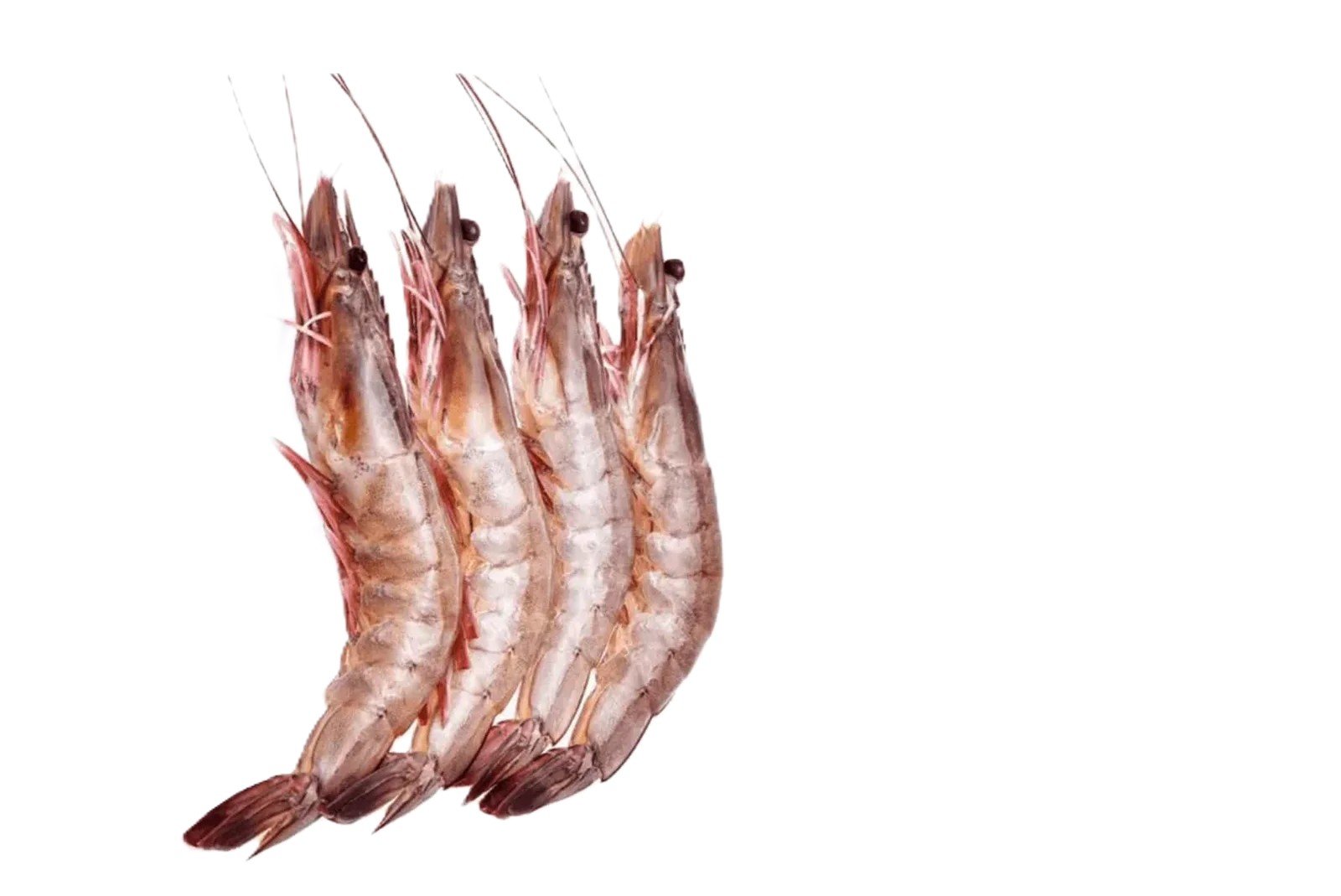 Jumbo Prawns (Jheenga)