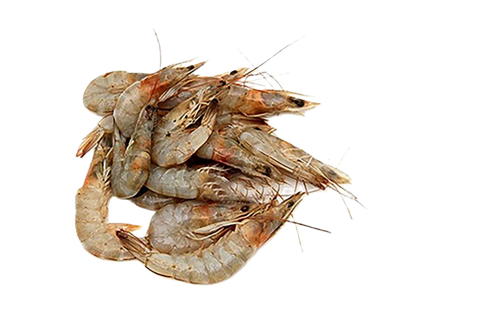 Small Prawns (Jheenga)